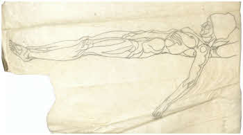 Visualizza l'immagine "FD D 1178 v."